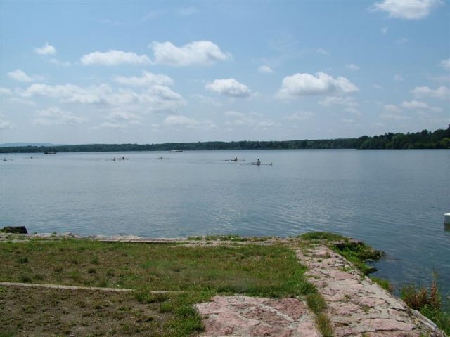 DSCF7203 (Medium)